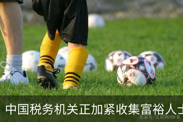 中国税务机关正加紧收集富裕人士资料，追缴境外收入涉及的税款