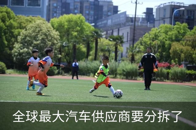 全球最大汽车供应商要分拆了