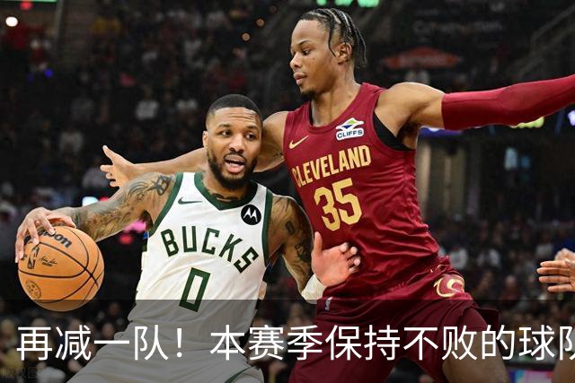 再减一队！本赛季保持不败的球队仅剩3支：火箭、灰熊、开拓者