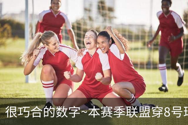 很巧合的数字~本赛季联盟穿8号球衣的球员最多 一共24个