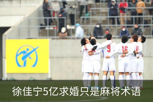 徐佳宁5亿求婚只是麻将术语