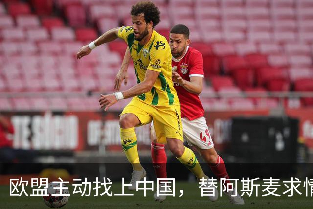 欧盟主动找上中国，替阿斯麦求情：中方别管制了，真顶不住