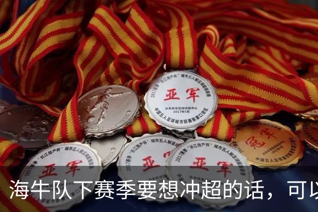 海牛队下赛季要想冲超的话，可以考虑请这位K联赛名帅，值得期待