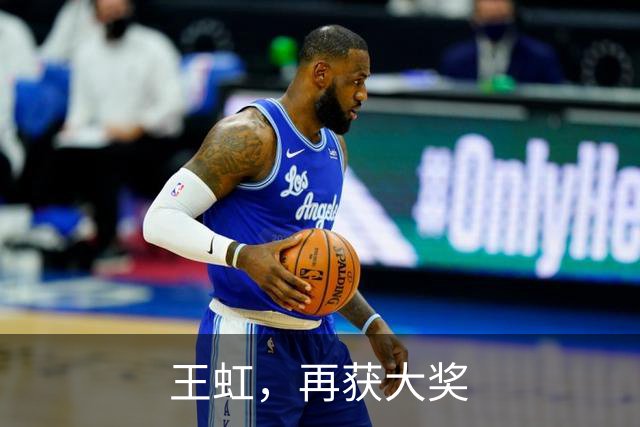 王虹，再获大奖