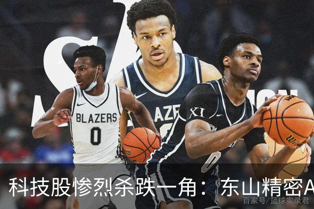 科技股惨烈杀跌一角：东山精密AH股双杀，昔日苏州第一牛股市值蒸发3500亿，本轮跌幅已达66%，海外光模块利空突袭