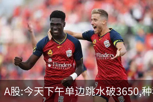 A股:今天下午单边跳水破3650,种种迹象表明,A股牛反弹已全面哑火?